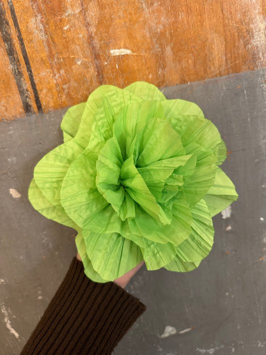 SPILLA GRANDE FIORE