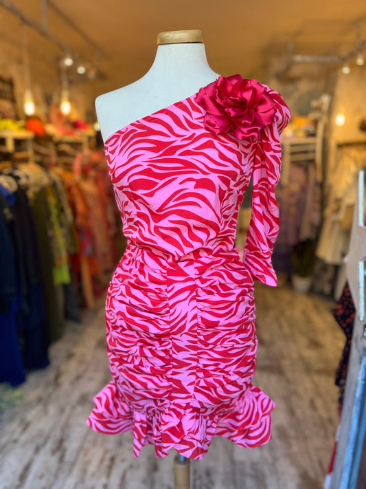 COORDINATO MINUETO ZEBBRA ROSSO E ROSA