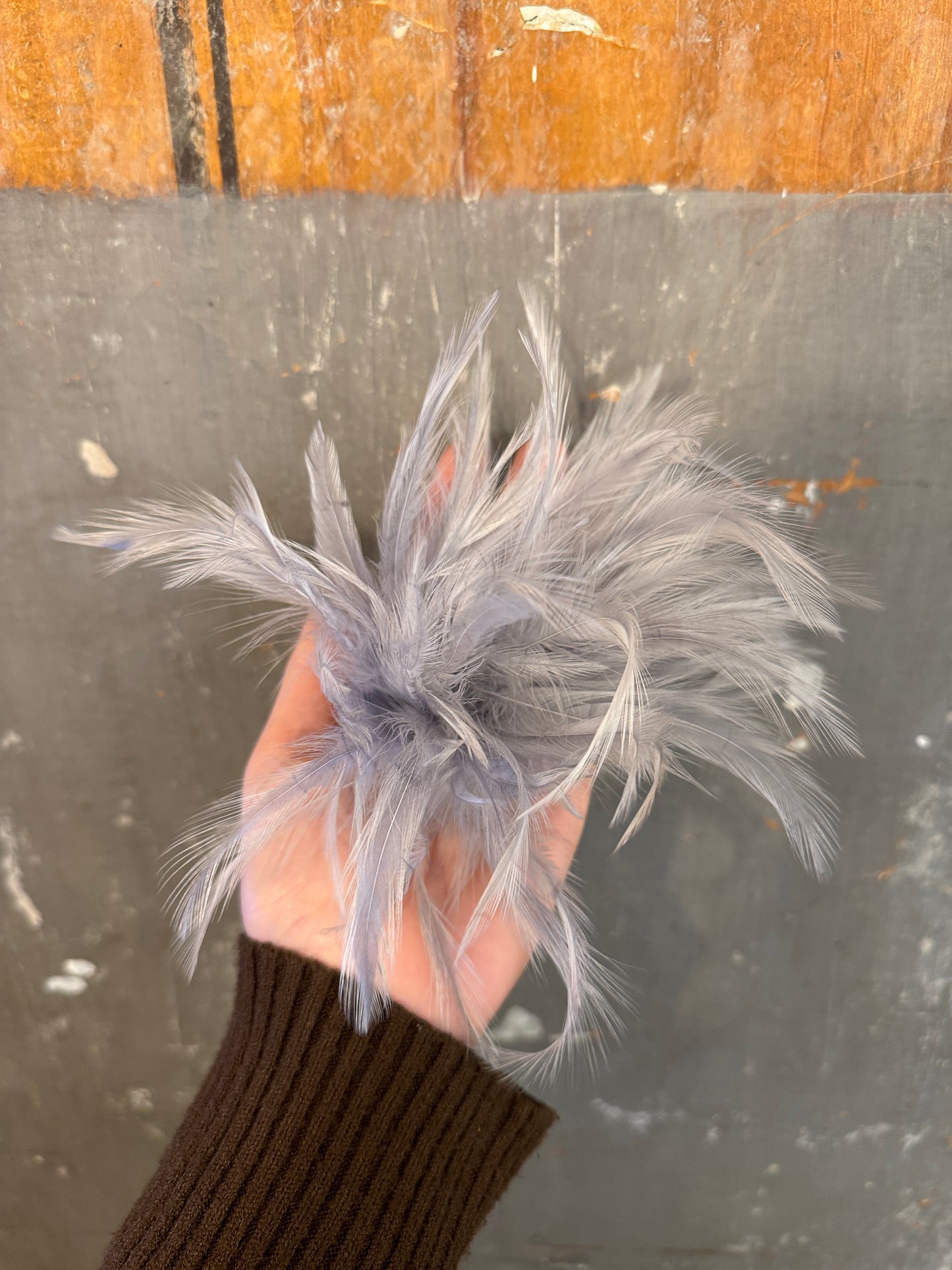 SPILLA CON PIUME