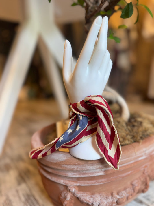 PICCOLO FOULARD CARRÈ IN SETA AMERICA